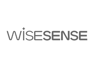Wisesense